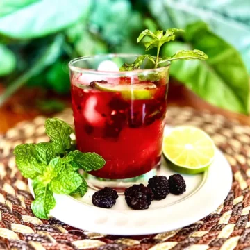 Blackberry Mojito