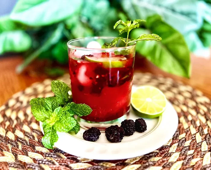 Blackberry Mojito