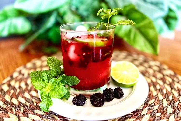 Blackberry Mojito