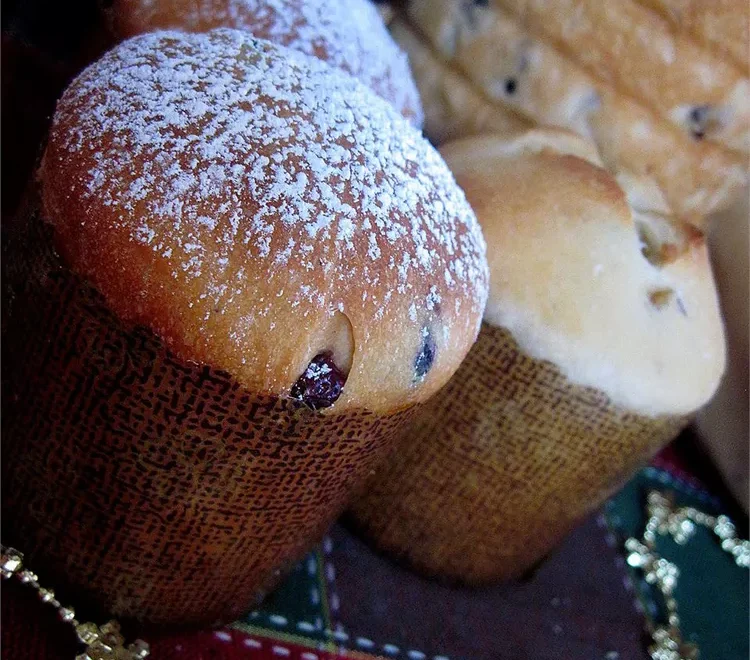 Panettone