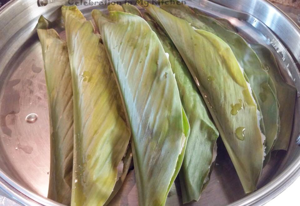 Patoleo